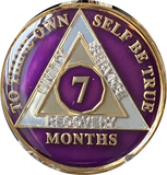1 2 3 4 5 6 7 8 9 10 11 or 18 Month AA Medallion Metallic Purple Tri-Plate Sobriety Chip
