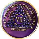 Crystallized AA Medallion Purple Velvet Tri-Plate Sobriety Chip Year 1 - 50 - RecoveryChip