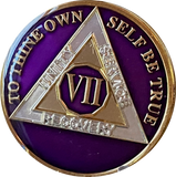 1 - 40 Year AA Medallion Metallic Purple Tri-Plate Sobriety Chip