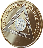 7 Year AA Medallion 1.5" Large Challenge Coin Premium 22k Gold Plated Sobriety Chip
