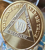 7 Year AA Medallion 1.5" Large Challenge Coin Premium 22k Gold Plated Sobriety Chip
