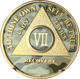Camo & Gold Plated AA Medallion Any Year or Month 1 - 65 Alcoholics Anonymous Chip - RecoveryChip