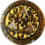 1 - 10 Year AA Medallion Leopard Spot Animal Print Reflex Design Sobriety Chip - RecoveryChip