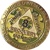 Set of 11 Recoverychip Gold Plated Month AA Medallions Months 1 2 3 4 5 6 7 8 9 10 11