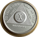 24 Hours .999 Fine Silver AA Alcoholics Anonymous Medallion - RecoveryChip