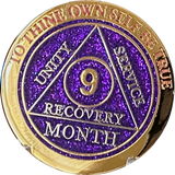 Set of 11 Recoverychip Gold Plated Month AA Medallions Months 1 2 3 4 5 6 7 8 9 10 11