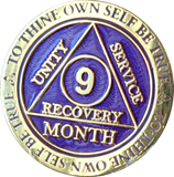 1 - 11 Month AA Medallion Reflex Purple Gold Plated Sobriety Chip Coin - RecoveryChip