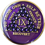 Crystal AA Medallion Purple Glitter Tri-Plate Sobriety Chip Year 1 - 50 - RecoveryChip