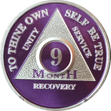 Purple Silver Plated 1 2 3 4 5 6 7 8 9 10 11 18 Month AA Medallion Sobriety Chip - RecoveryChip