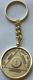 AA Medallion Holder Sobriety Chip Keychain 18k Gold Plated For Wendells - RecoveryChip