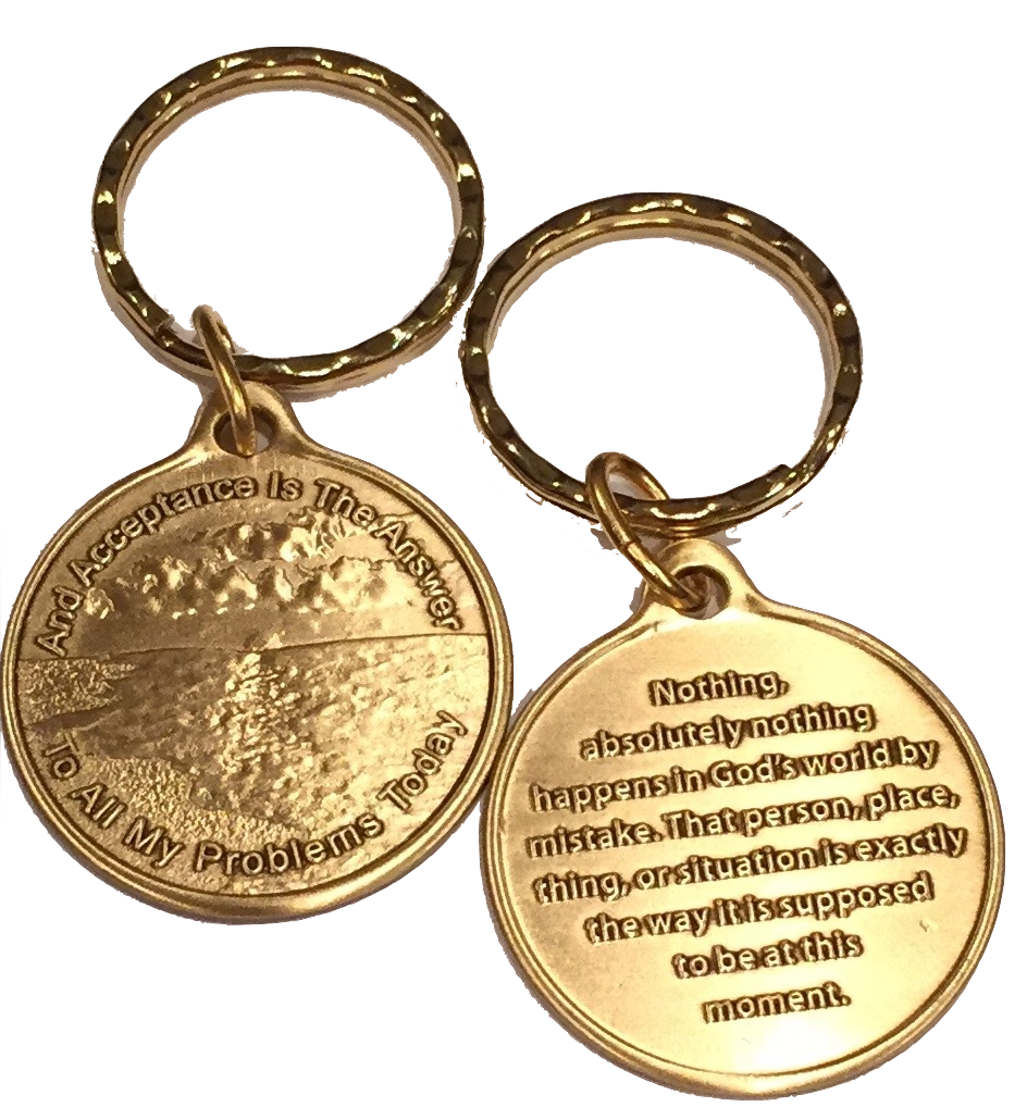 レコード A LETTER & A REPLY THE CHARM PARK Acceptance Is The Answer Beach Sunrise Bronze AA Keychain 449 417