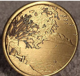 Bulk Roll Of 25 Serenity Lake Peace Within The Storm Bronze Medallion Chip Coin