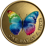 Color Rainbow Butterfly One Day At A Time Medallion Serenity Prayer Bronze Chip - RecoveryChip