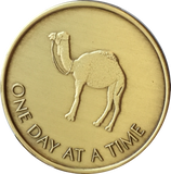 Camel One Day At A Time Greatest Possession 24 Hours Ahead Bronze Medallion Sobriety Chip - RecoveryChip