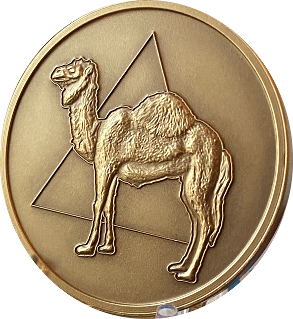 Large Camel Triangle AA Medallion 1.5