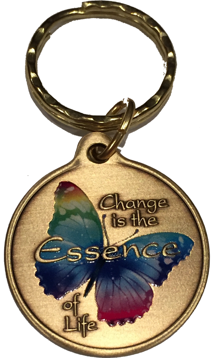 Change Is The Essence of Life Color Butterfly Bronze Serenity Prayer K ...