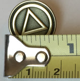 AA Logo Circle Triangle Lapel Pin Alcoholics Anonymous Sobriety Badge RecoveryChip Design - RecoveryChip