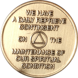 Step 10 Personal Inventory Daily Reprieve AA Sobriety Medallion Chip - RecoveryChip