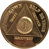 Gold Plated AA Medallion Year 1 - 65 Available 24k Sobriety Chip With Serenity Prayer - RecoveryChip