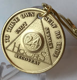 AA 24 Hours or Years 1 - 10 Medallion Key Chain Sobriety Chip With Serenity Prayer Bronze - RecoveryChip