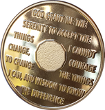 Praying Hands One Day At A Time 22k Gold Plated AA Medallion Chip Serenity Prayer Years 1-12 - RecoveryChip