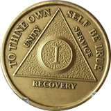 AA Medallion Year 1 - 65  Bronze Sobriety Chip Alcoholics Anonymous Coin - RecoveryChip