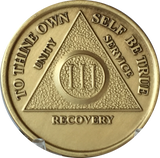 AA Medallion Year 1 - 65  Bronze Sobriety Chip Alcoholics Anonymous Coin - RecoveryChip