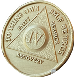 Bulk Lot Of 20 30 40 or 50 60 70 80 90 or 100 AA Chips Medallions Bronze Any Month Or Year MEDT