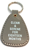 18 Month NA Keytag Gray Narcotics Anonymous Grey Keychain Clean & Serene