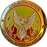 Like A Phoenix I Will Transform Gold Plated Flames Ashes Serenity Prayer Medallion Coin