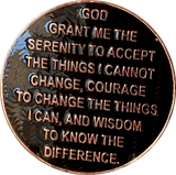 Missing E in Servic 2 Year Copper Plated AA Medallion Reflex Black Design By Recoverychip.com