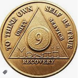 AA Month Medallion Bronze Sobriety Chip Coin 1 2 3 4 5 6 7 8 9 10 11 18