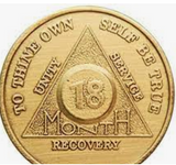 AA Month Medallion Bronze Sobriety Chip Coin 1 2 3 4 5 6 7 8 9 10 11 18