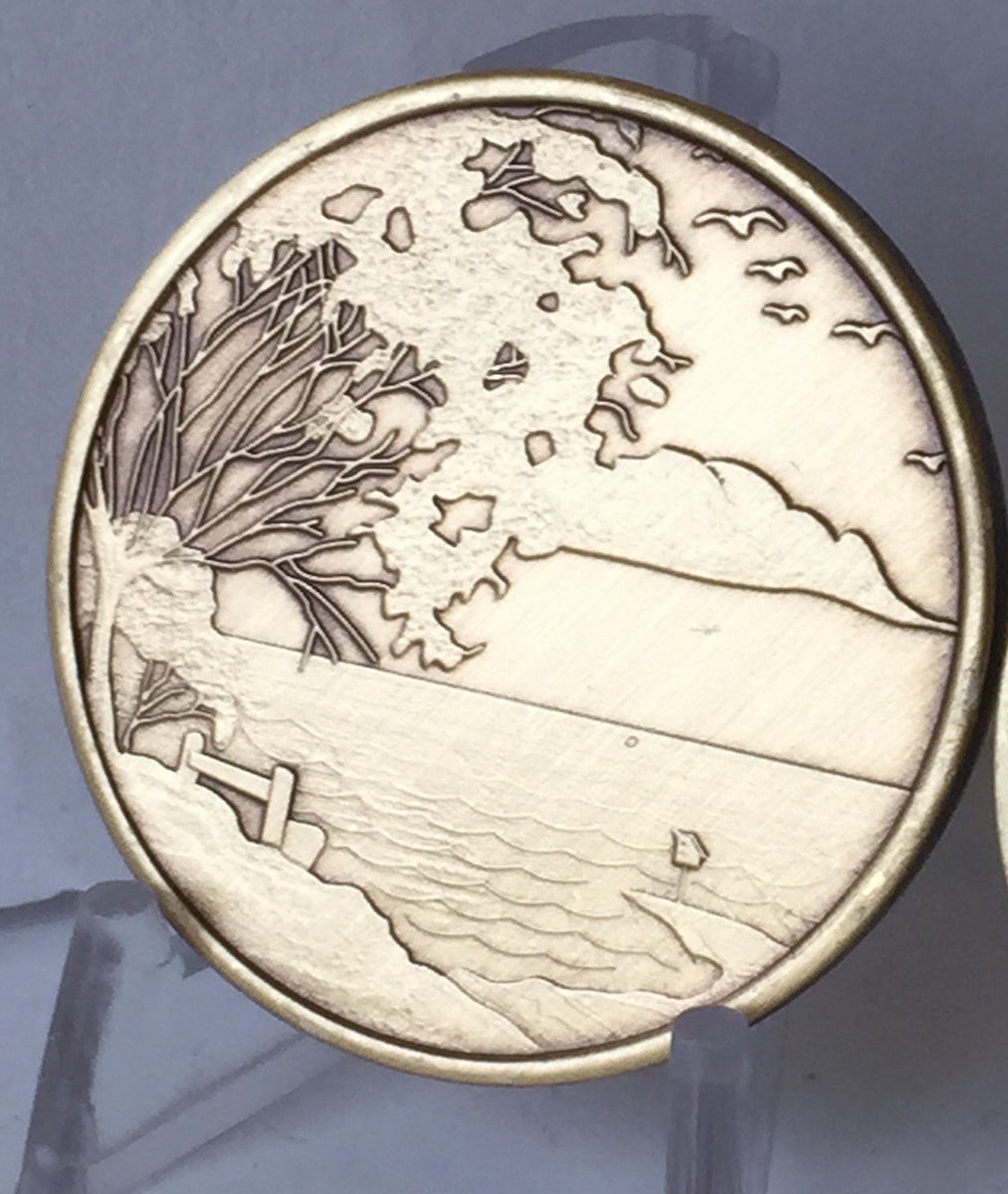 Serenity Lake With Serenity Prayer Bronze AA Medallion Chip Coin BRM12 ...