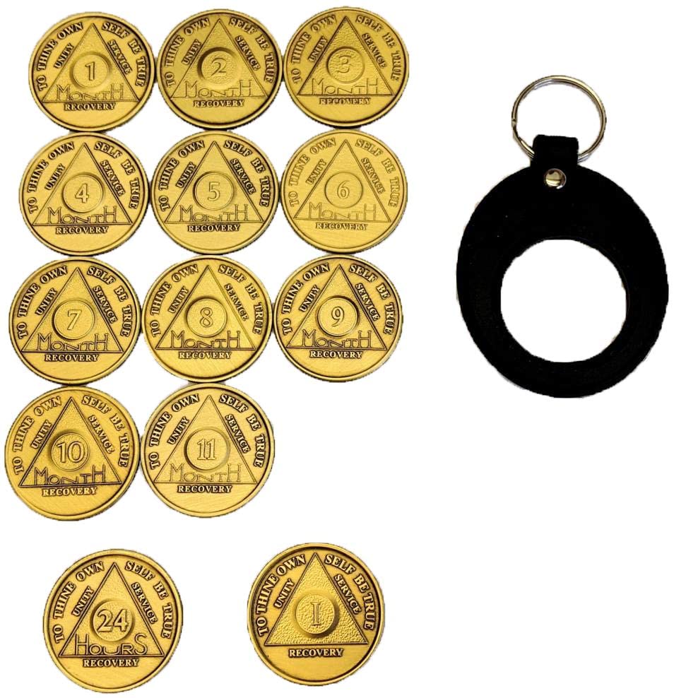 13 Coin AA Medallion Set With Universal Keychain Holder Month