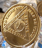 1 year AA Medallion 22k Gold Plated Sobriety Chip