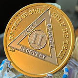 2 Year AA Medallion Bi-Plate Gold and Nickel Plated Sobriety Chip