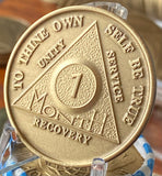 1 Month AA Medallion 5 Pack of Bronze 30 Day Sobriety Chips