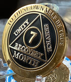 7 Month Elegant Black Sobriety Chip For AA Members
