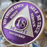 18 Month AA Medallion Purple Silver Plated Sobriety Chip