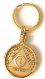 1 Year AA Medallion In Gold Plated Recovery Mint Keychain Holder