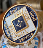 9 Year NA Medallioon Blue and White Tri-Plate Official Narcotics Anonymous Sobriety Chip