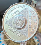 23 Year AA Medallion .999 Fine Silver Sobriety Chip .5oz