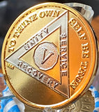 5 Year AA Medallion Bi-Plate Gold and Nickel Plated Sobriety Chip