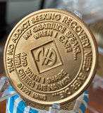 1 Year NA Medallion Blue Sapphire Crystal Sobriety Chip