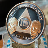 18 Year AA Founders Medallion Titanium Grey Nickel Plated Sobriety Chip