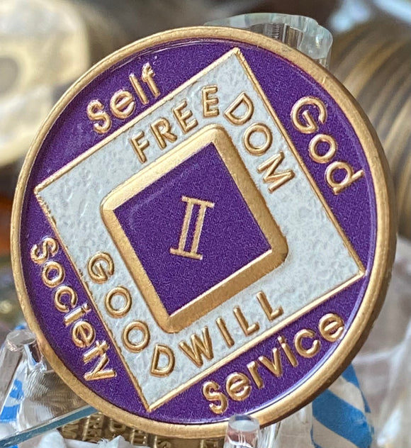 2 Year NA Medallion Purple White Official Narcotics Anonymous Clean Time Sobriety Chip