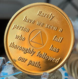 7 Year AA Founders Medallion Purple Gold Plated Sobriety Chip