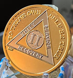 2 Year AA Medallion Bi-Plate Gold and Nickel Plated Sobriety Chip
