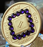 2 Year Official NA Sobriety Chip Purple Velvet Swarovski Crystal Bronze Medallion